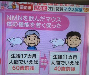 NMNの抗老化効果