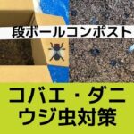 段ボールコンポストの虫対策